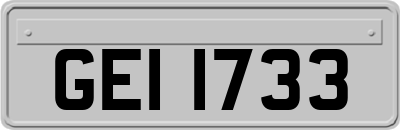 GEI1733