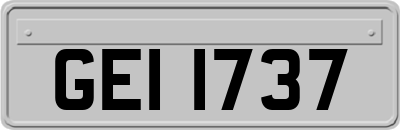 GEI1737