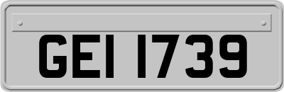 GEI1739