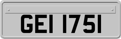 GEI1751