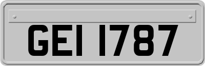 GEI1787