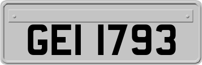 GEI1793