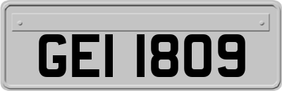 GEI1809
