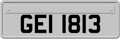 GEI1813