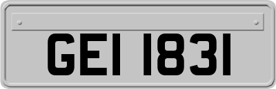 GEI1831