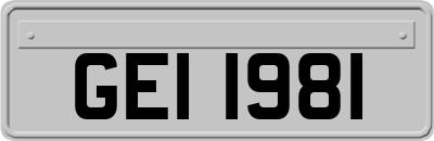 GEI1981
