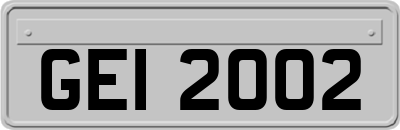 GEI2002