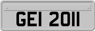GEI2011