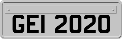 GEI2020