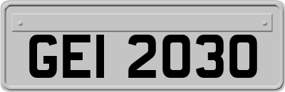 GEI2030