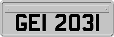 GEI2031