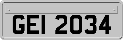 GEI2034