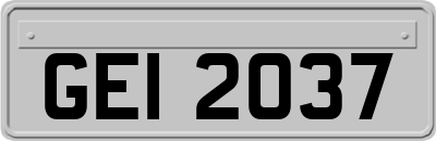 GEI2037