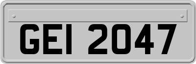 GEI2047