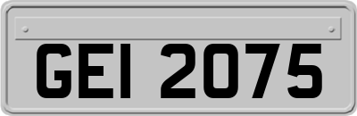 GEI2075