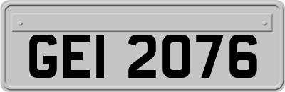 GEI2076