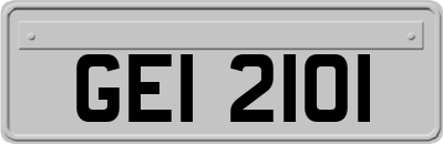 GEI2101