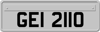 GEI2110