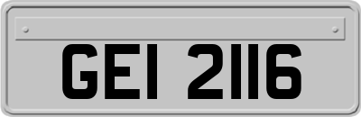 GEI2116