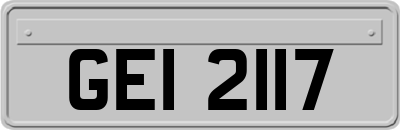 GEI2117