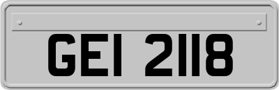 GEI2118