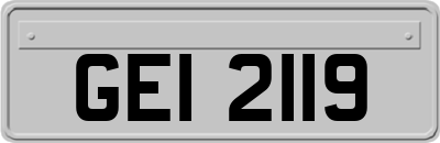 GEI2119
