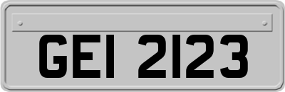 GEI2123