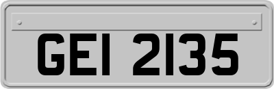 GEI2135