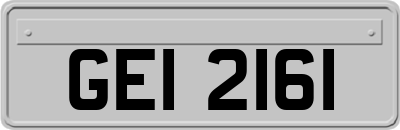 GEI2161