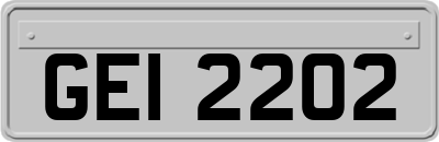 GEI2202