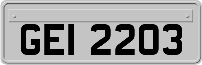 GEI2203