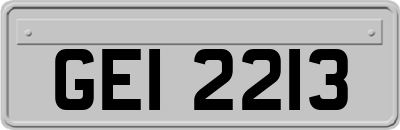 GEI2213
