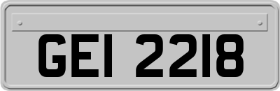 GEI2218
