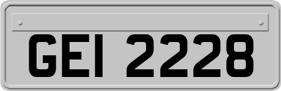 GEI2228