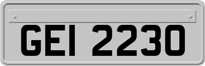 GEI2230