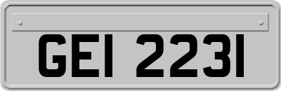 GEI2231