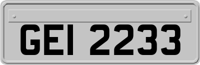 GEI2233