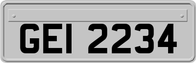 GEI2234