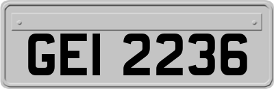 GEI2236