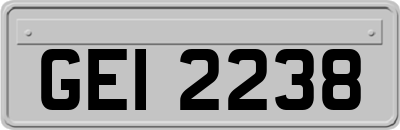 GEI2238