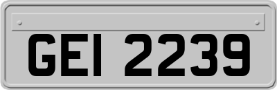 GEI2239