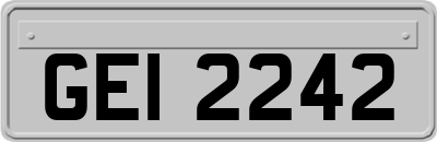 GEI2242