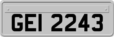GEI2243