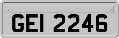 GEI2246