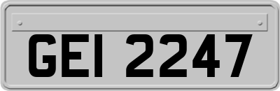 GEI2247