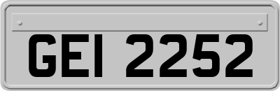 GEI2252