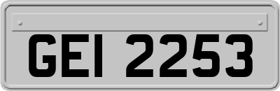 GEI2253