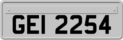 GEI2254
