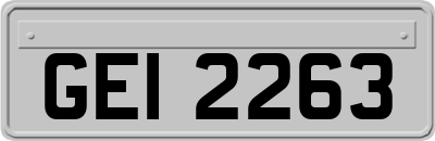 GEI2263