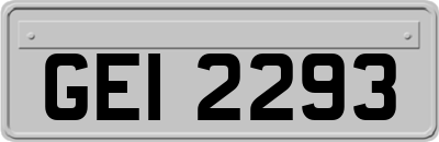 GEI2293